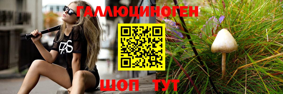 Углич  Псилоцибиновые грибы GOLDEN TEACHER  Вход с VPN 